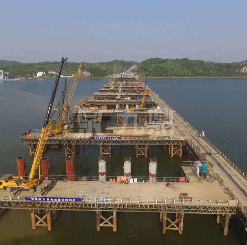 大菠萝福利软件